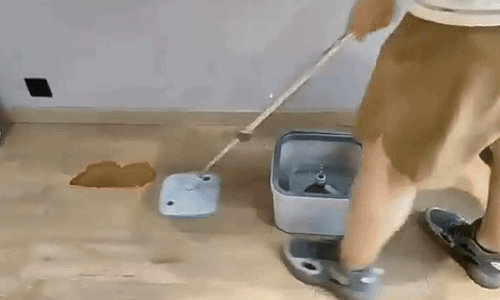 Rotating Spin Mop with Bucket for Efficient Cleaning – Model F04 - SouqNoir