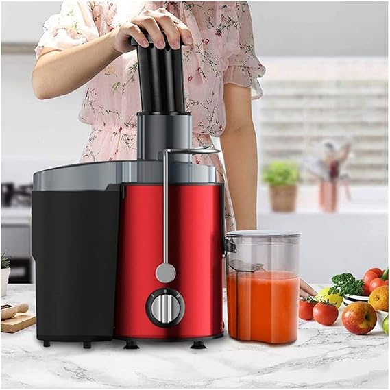 Stainless Steel Portable Fruit Juicer for Fresh Juice and Smoothies - SouqNoir