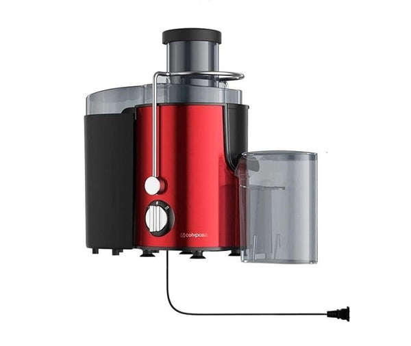 Stainless Steel Portable Fruit Juicer for Fresh Juice and Smoothies - SouqNoir