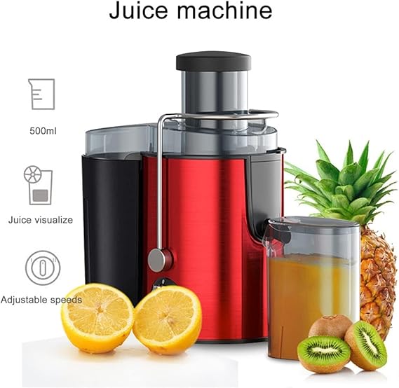 Stainless Steel Portable Fruit Juicer for Fresh Juice and Smoothies - SouqNoir