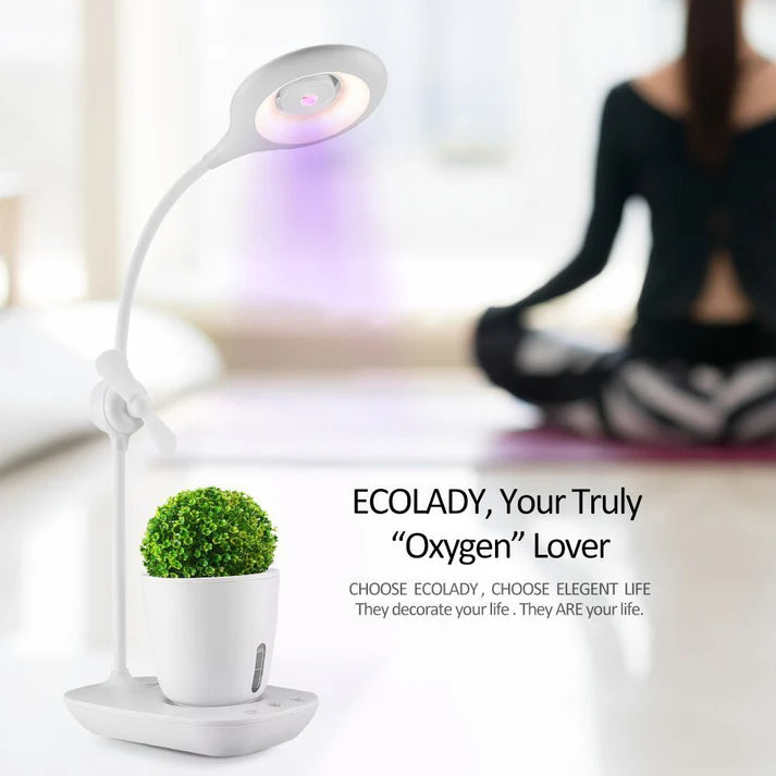 Intelligent Plant Growth Box with Built-in Table Lamp - SouqNoir