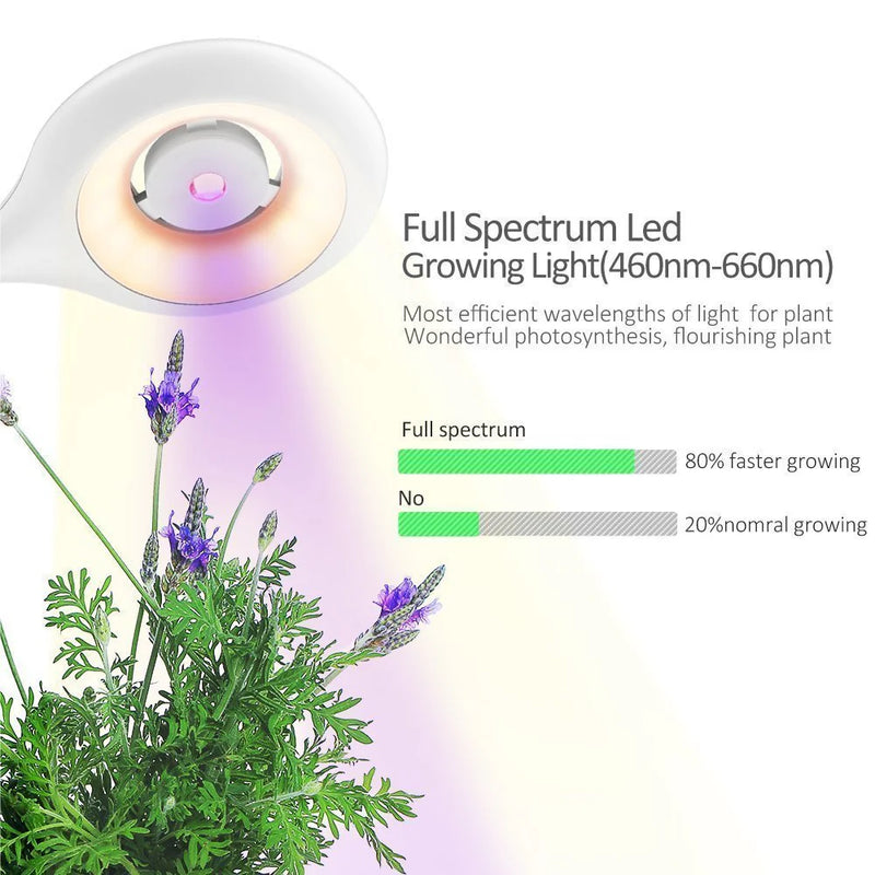 Intelligent Plant Growth Box with Built-in Table Lamp - SouqNoir